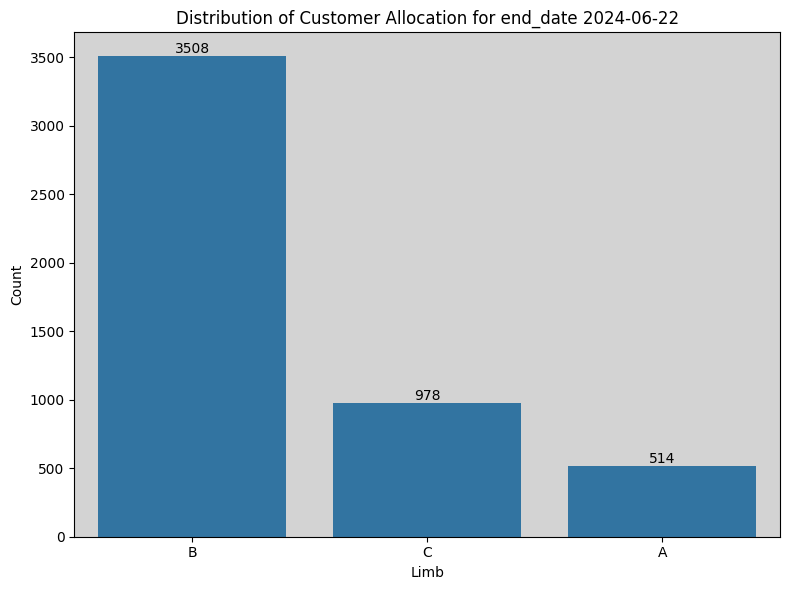 Snapshot of what the assignments look like for a particular group of customers.