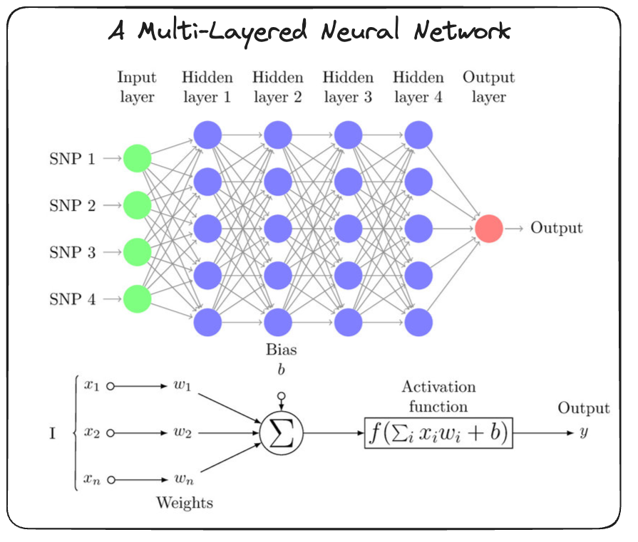 A standard MLP network.